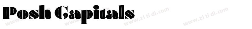 Posh Capitals字体转换